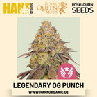 Legendary OG Punch feminisiert Hanfsamen von Royal Queen Seeds – 3 Samen
