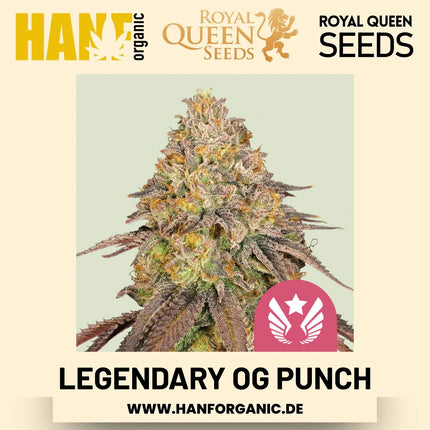 Legendary OG Punch feminisiert Hanfsamen von Royal Queen Seeds – 3 Samen