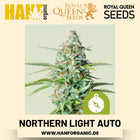 Northern Light Autoflower Hanfsamen von Royal Queen Seeds – 3 Samen