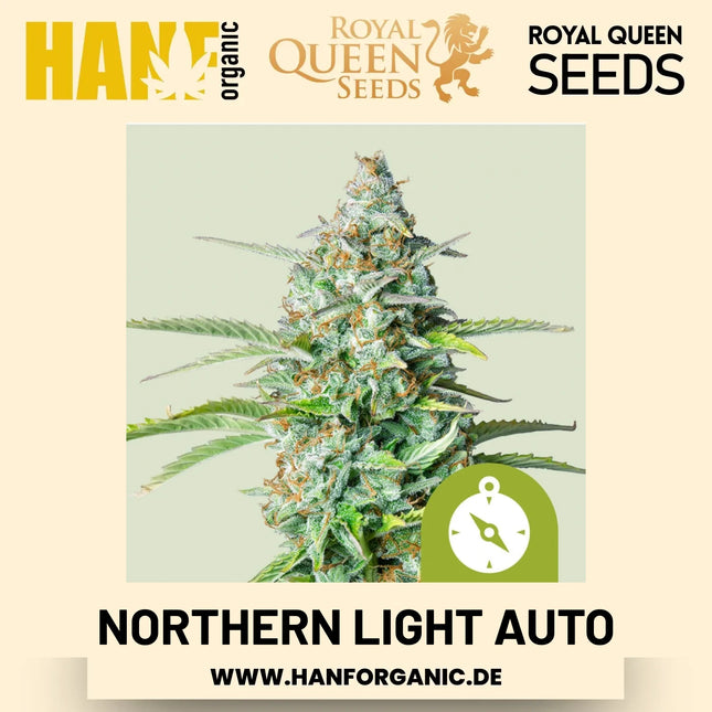 Northern Light Autoflower Hanfsamen von Royal Queen Seeds – 3 Samen
