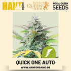 Quick One Autoflower Hanfsamen von Royal Queen Seeds – 3 Samen