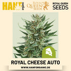 Royal Cheese Autoflower Hanfsamen von Royal Queen Seeds – 3 Samen