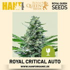 Royal Critical Autoflower Hanfsamen von Royal Queen Seeds – 3 Samen