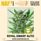 Royal Dwarf Autoflower Hanfsamen von Royal Queen Seeds – 3 Samen