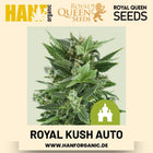 Royal Kush Autoflower Hanfsamen von Royal Queen Seeds – 3 Samen