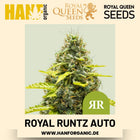 Royal Runtz Autoflower Hanfsamen von Royal Queen Seeds – 3 Samen