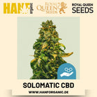 Solomatic CBD CBD-Sorte Hanfsamen von Royal Queen Seeds – 3 Samen