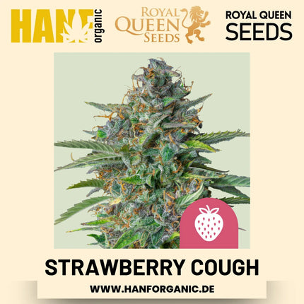 Strawberry Cough feminisiert Hanfsamen von Royal Queen Seeds – 3 Samen