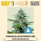 Stress Killer Automatic CBD CBD-Sorte Hanfsamen von Royal Queen Seeds – 3 Samen