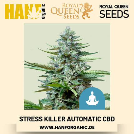 Stress Killer Automatic CBD CBD-Sorte Hanfsamen von Royal Queen Seeds – 3 Samen