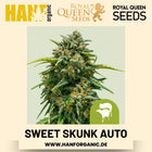 Sweet Skunk Autoflower Hanfsamen von Royal Queen Seeds – 3 Samen
