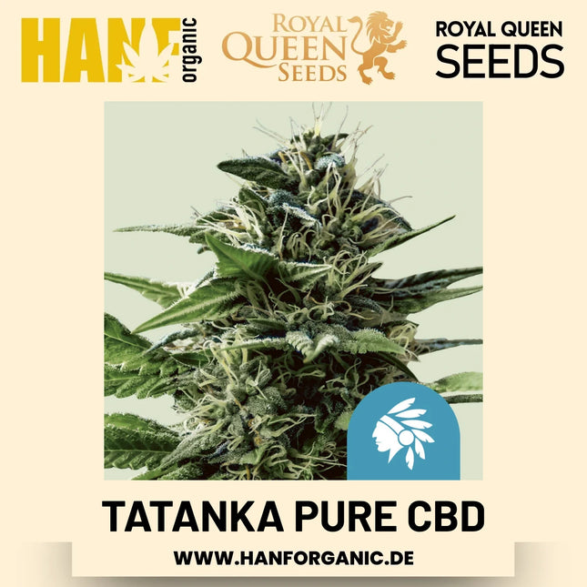 Tatanka Pure CBD CBD-Sorte Hanfsamen von Royal Queen Seeds – 3 Samen