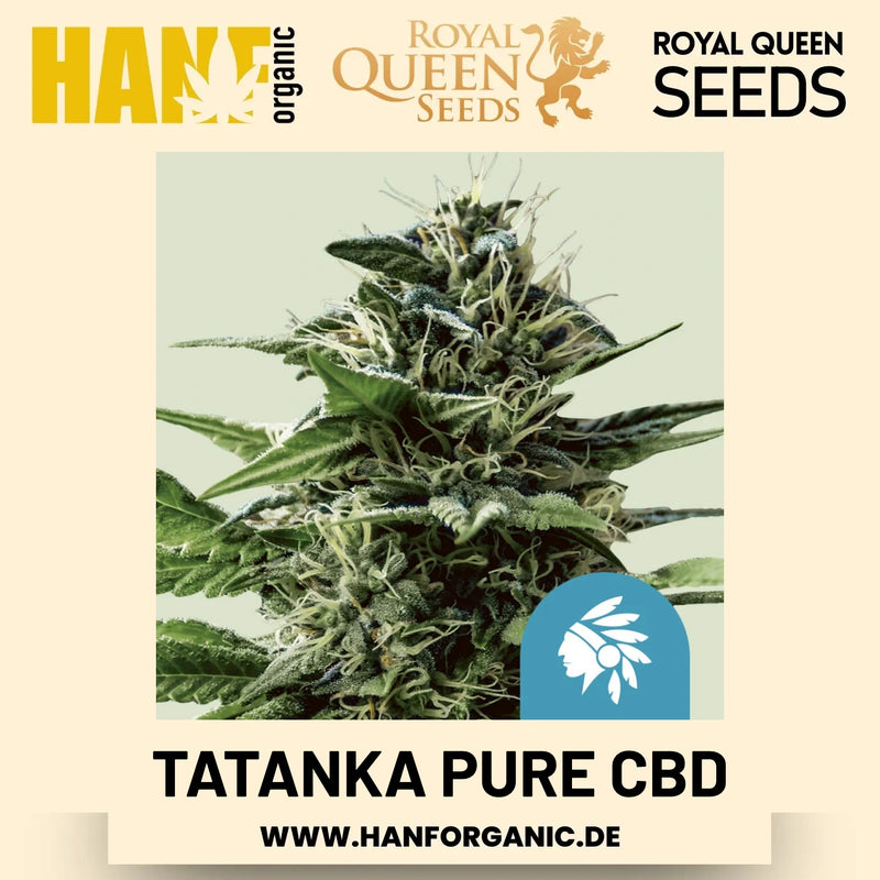 Tatanka Pure CBD CBD-Sorte Hanfsamen von Royal Queen Seeds – 3 Samen