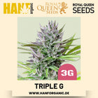 Triple G feminisiert Hanfsamen von Royal Queen Seeds – 3 Samen