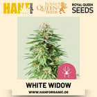 White Widow feminisiert Hanfsamen von Royal Queen Seeds – 3 Samen