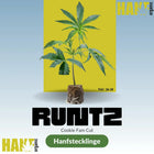 Runtz – Cookie Fam Cut Hanfstecklinge im Steinwollwürfel von Hanf Organic