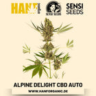 Alpine Delight CBD Autoflower Hanfsamen von Sensi Seeds – 3 Samen