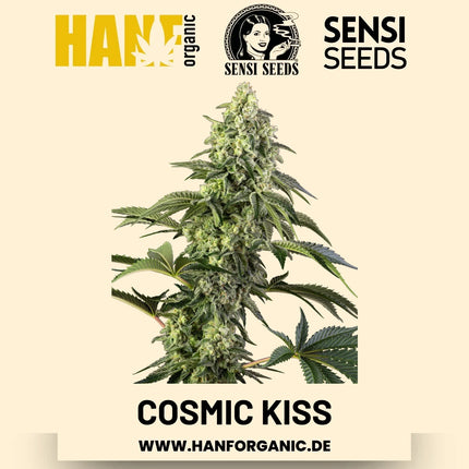 Cosmic Kiss feminisiert Hanfsamen von Sensi Seeds – 3 Samen