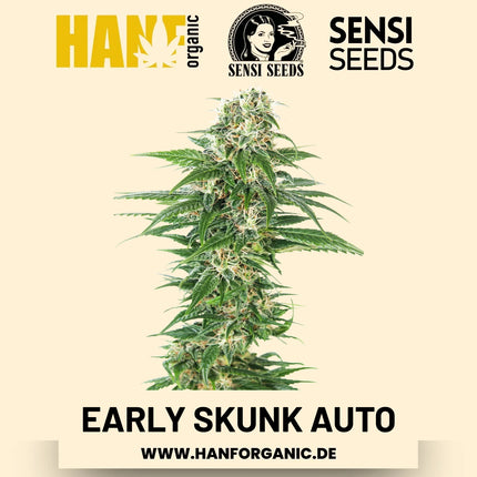 Early Skunk Autoflower Hanfsamen von Sensi Seeds – 3 Samen