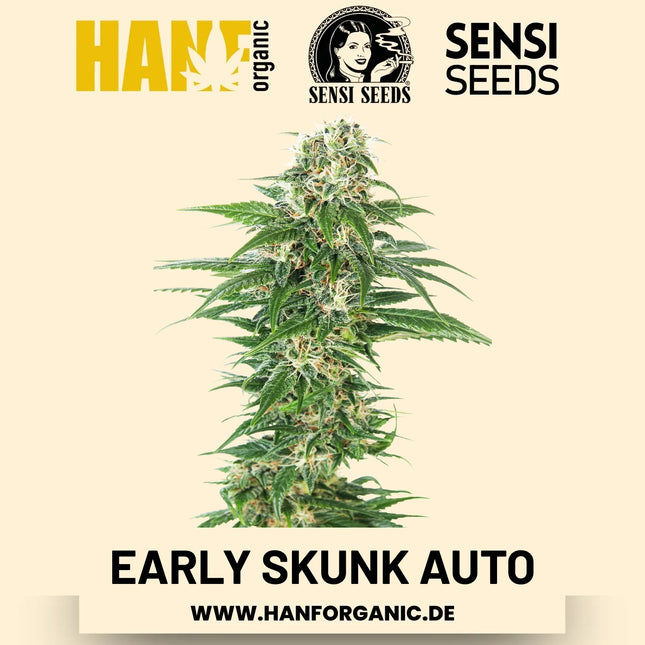 Early Skunk Autoflower Hanfsamen von Sensi Seeds – 3 Samen