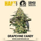 Grapevine Candy feminisiert Hanfsamen von Sensi Seeds – 3 Samen