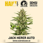 Jack Herer Autoflower Hanfsamen von Sensi Seeds – 3 Samen
