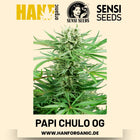Papi Chulo OG feminisiert Hanfsamen von Sensi Seeds – 3 Samen