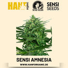 Sensi Amnesia feminisiert Hanfsamen von Sensi Seeds – 3 Samen