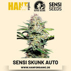 Sensi Skunk Autoflower Hanfsamen von Sensi Seeds – 5 Samen