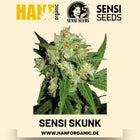 Sensi Skunk feminisiert Hanfsamen von Sensi Seeds – 3 Samen