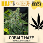 Sensi Seeds - Sensi #11 Research