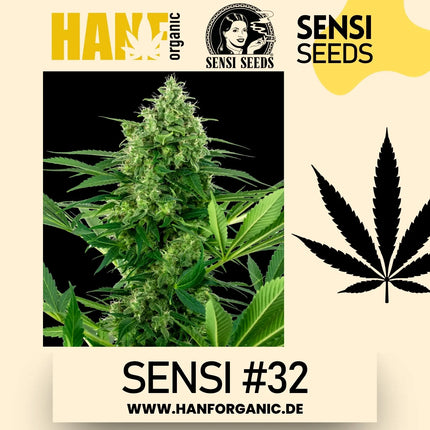Sensi Seeds - Sensi #32 Research