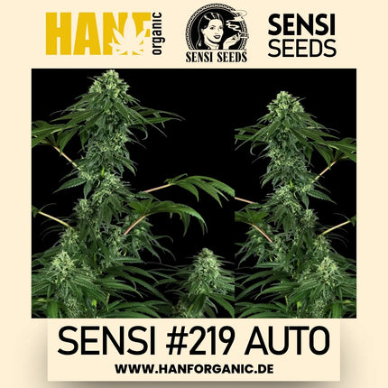 Sensi Seeds - Sensi #219 Research
