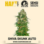 Shiva Skunk Autoflower Hanfsamen von Sensi Seeds – 3 Samen