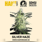 Silver Haze feminisiert Hanfsamen von Sensi Seeds – 3 Samen