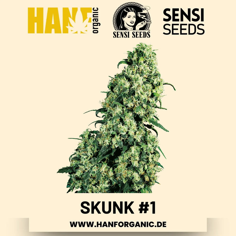 Skunk #1 feminisierte Hanfsamen von Sensi Seeds – Verpackung mit 3 Samen