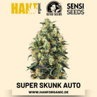 Super Skunk Autoflower Hanfsamen von Sensi Seeds – 3 Samen