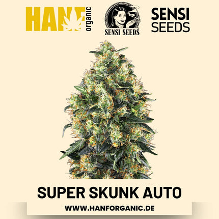 Super Skunk Autoflower Hanfsamen von Sensi Seeds – 3 Samen