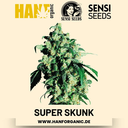 Super Skunk feminisiert Hanfsamen von Sensi Seeds – 3 Samen
