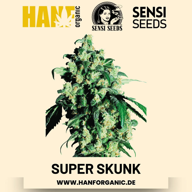 Super Skunk feminisiert Hanfsamen von Sensi Seeds – 3 Samen