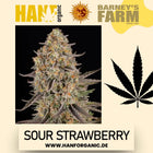 Barney's Farm – Sour Strawberry Feminisiert