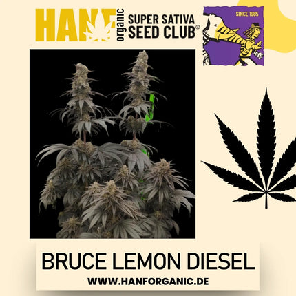 Super Sativa Seeds Club - Bruce Lemon Diesel Fem