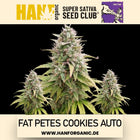 Super Sativa Seeds Club - Fat Petes Cookies Auto