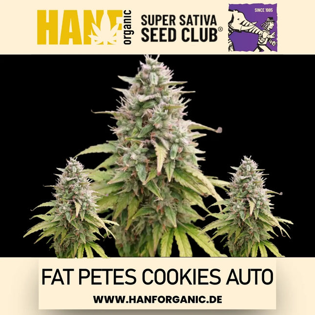 Super Sativa Seeds Club - Fat Petes Cookies Auto