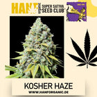 Super Sativa Seeds Club - Kosher Haze Fem