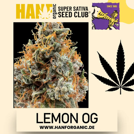 Super Sativa Seeds Club - Lemon OG Fem