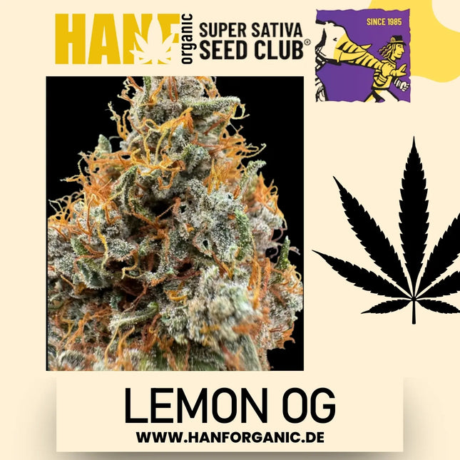 Super Sativa Seeds Club - Lemon OG Fem