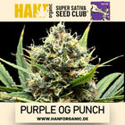Super Sativa Seeds Club - Purple OG Punch Fem