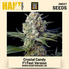 Crystal Candy F1 Fast Version Hanfsamen von Sweet Seeds