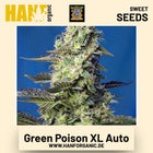 Green Poison XL Auto Hanfsamen von Sweet Seeds